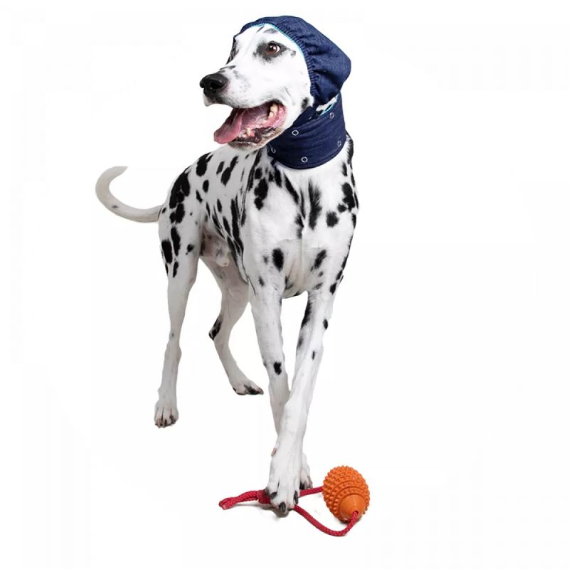 Head Cover