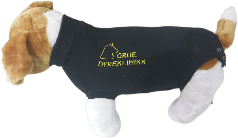 MPS BODY MED egen logo