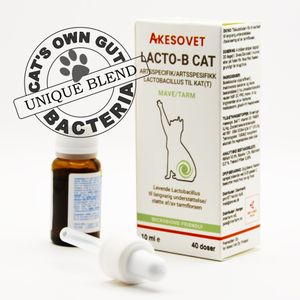 Hovedbilde Lacto-B Cat - Tarm langsiktig 10ml/40doser
