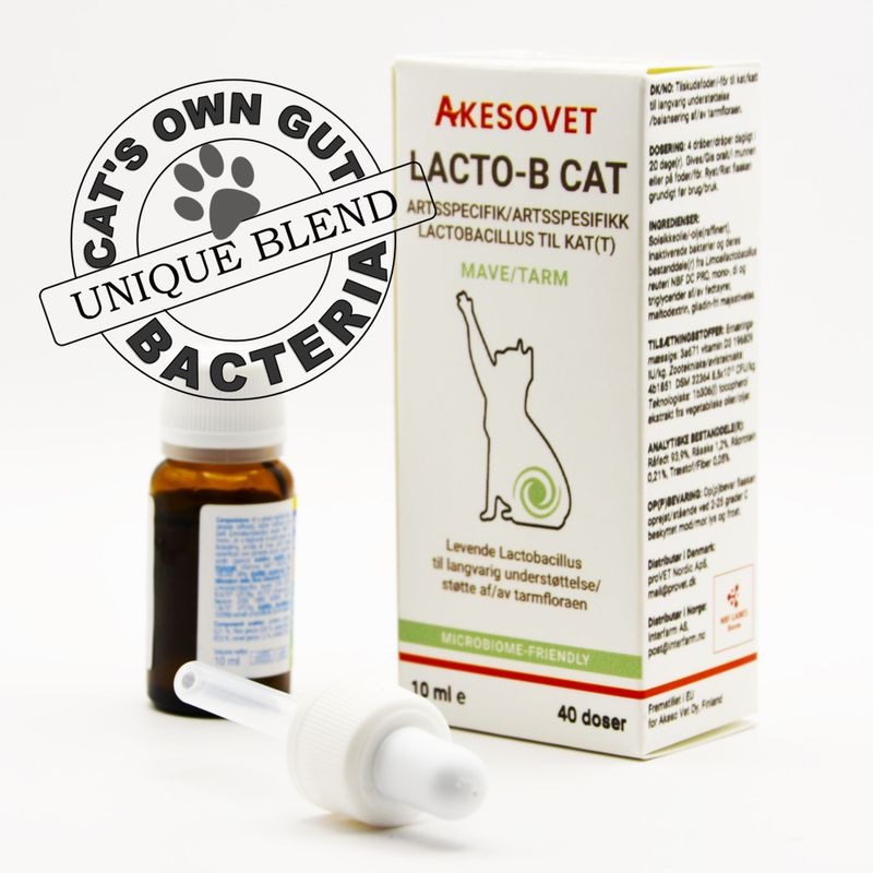 Lacto-B Cat - Tarm langsiktig 10ml/40doser